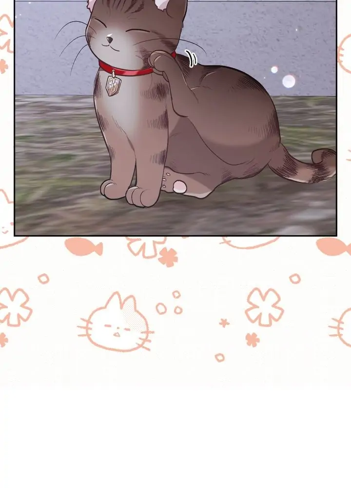 23047227 720 1000 27008